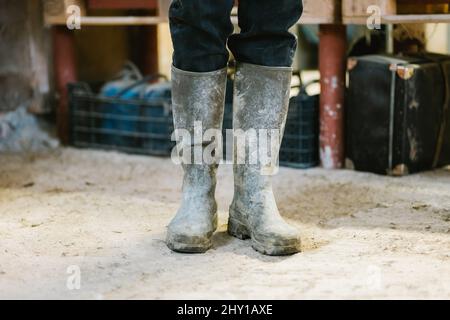 Coltivatore in pantaloni neri e stivali di gomma grigio sporco in piedi in stalla shabby Foto Stock