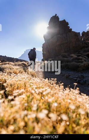 Vista posteriore di un turista irriconoscibile con zaino in piedi su un terreno roccioso vicino alla scogliera vulcanica sull'isola di Tenerife in una giornata di sole Foto Stock