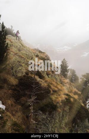 Vista laterale di escursionista distante in piedi sul pendio erboso di montagna con alberi di conifere durante il trekking in natura in condizioni di nebbia Foto Stock