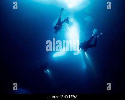 Subacquei professionisti irriconoscibili con scuba e pinne che nuotano in una stretta grotta scura con formazioni rocciose al di sotto del mare in acque profonde e limpide Foto Stock