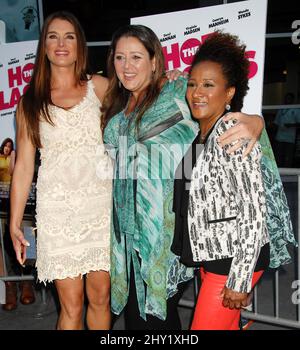 Brooke Shields, Camryn Manheim e Wanda Sykes sono presenti alla prima "The Hot Flashs" che si tiene presso i cinema ARCLIGHT di Los Angeles Foto Stock