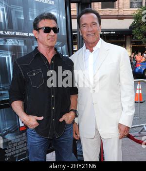 Sylvester Stallone e Arnold Schwarzenegger durante la prima 'Escape Plan' al Comic-con 2013 tenuto al Reading Cinemas Gaslamp, San Diego, California. Foto Stock