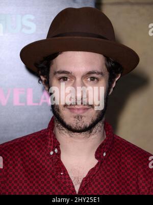 Adam Brody partecipa al 'Lovelace' Los Angeles Premiere tenuto al Teatro Egizio Foto Stock