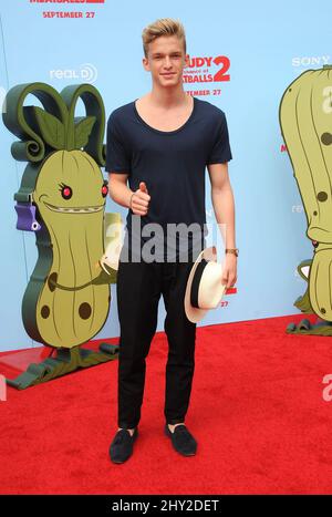 Cody Simpson partecipa alla Premiere 'Cloudy with A Chance of Meatballs 2' a Los Angeles, California. Foto Stock