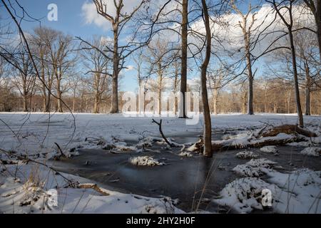 Laghetto ghiacciato circondato da foresta innevata e campo Foto Stock