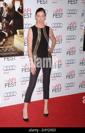 Julianne Nicholson partecipa allo screening di gala "August: Osage County" all'AFI Fest 2013 tenuto al TCL Chinese Theatre Foto Stock