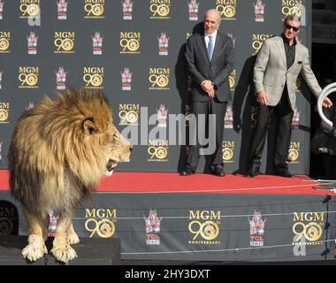 Leo il Leone Paw Prints, Sylvester Stallone e Gary Barber partecipa al Metro-Goldwyn-Mayer dando il via alla loro celebrazione di 90th anni con Sylvester Stallone e il presidente e CEO di MGM Gary Barber che si unisce a Leo il Leone alla sua cerimonia di stampa Paw al TCL Chinese Theatre di Hollywood, California, il 22 gennaio 2014. Foto Stock