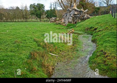 L'acqua limpida di un piccolo ruscello di prati scorre attraverso i campi da Fish Hill verso la città di Cotsowld di Broadway Foto Stock