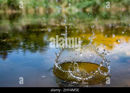 Primo piano di un tuffo d'acqua in un lago Foto Stock
