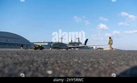 Un RQ-4B Global Hawk sulla linea di volo alla base aerea di Misawa, Giappone, 12 marzo 2022. Il modello RQ-4B è un velivolo pilotato in remoto ad alta quota e lunga durata con una suite di sensori integrata che fornisce informazioni globali su tutte le condizioni meteorologiche, giorno o notte, sorveglianza e capacità di ricognizione. L'aggiunta di questo velivolo all'inventario della Japan Air Self-Defense Force sostiene direttamente la difesa del Giappone e la pace e la stabilità nella regione Indo-Pacific. (STATI UNITI Air Force foto di Senior Airman Antwain Hanks) Foto Stock