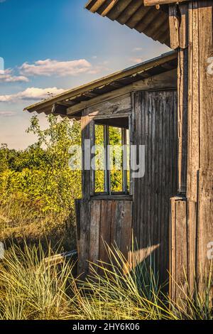 Una parte di una vecchia capanna di legno abbandonata è cresciuta di erba. Paesaggio di fine estate Foto Stock