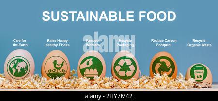 Etichette e icone alimentari sostenibili sulle uova, informazioni ambientali ed etiche sui consumatori, cura della terra, rispetto dei lavoratori, riciclaggio, riduzione dei rifiuti, Foto Stock