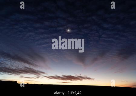 UT00900-00..... UTAH - Luna Crescent all'alba dalla Valle degli dei, Bears Ears National Monument. Foto Stock