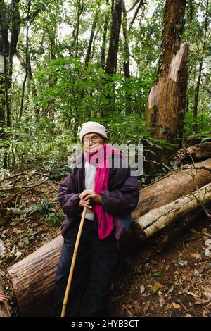 Uomo anziano asiatico che si rilassa durante un trekking con la sua famiglia. Un escursionista anziano siede su un ceppo e riposa dopo una passeggiata nella natura. Foto Stock