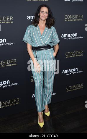 Amy Landecker arriva all'evento FYC per il 'trasparente' di Amazon Video tenuto presso l'Hollywood Athletic Club di Los Angeles, USA Foto Stock