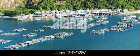 Aziende di acquacoltura a Pichic Bay, Sok Kwu WAN, Lamma Island, Hong Kong. Foto Stock