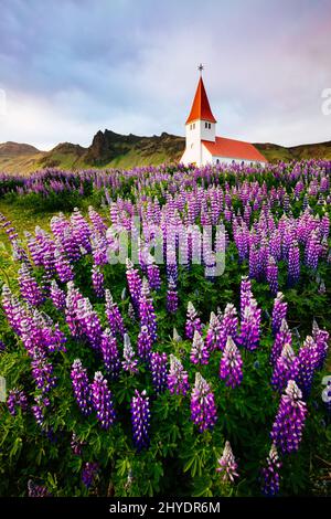 Grande vista della chiesa cristiana Vikurkirkja alla luce della sera. Scena drammatica e pittoresca. Popolare attrazione turistica. Posizione luogo famoso Vik i M Foto Stock