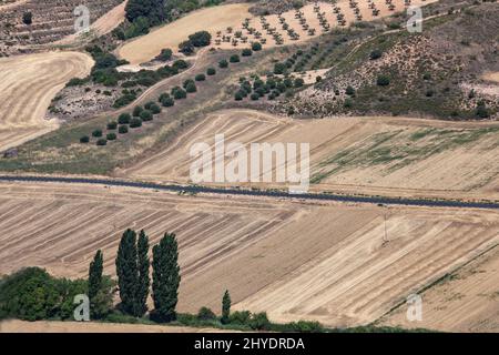 Scatto aereo di campi agricoli con varie colture in una zona collinare Foto Stock