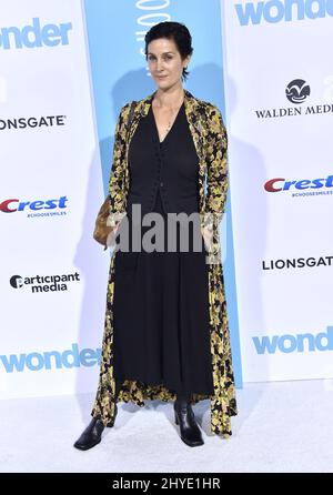 Carrie-Anne Moss partecipa alla prima di Wonder a Westwood, California Foto Stock