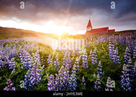 Grande vista della chiesa cristiana Vikurkirkja alla luce della sera. Scena drammatica e pittoresca. Popolare attrazione turistica. Posizione luogo famoso Vik i M Foto Stock