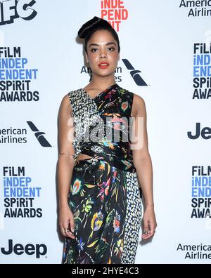 Tessa Thompson al Film Independent 2018 Spirit Awards nomination conferenza stampa tenutasi al Jeremy Hotel il 21 novembre 2017 a West Hollywood, California Foto Stock