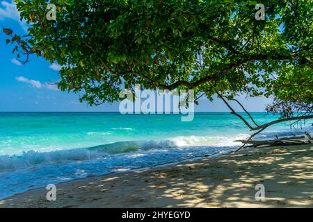 Shades sulla spiaggia, Kalapathar Beach, Havelock Island, Andaman, India Foto Stock