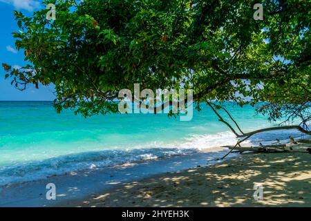 Shades sulla spiaggia, Kalapathar Beach, Havelock Island, Andaman, India Foto Stock