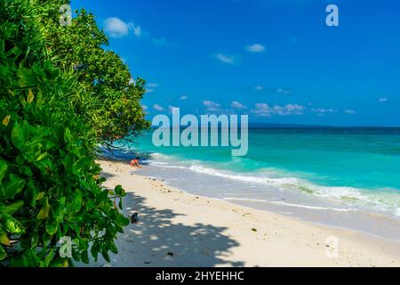 Shades sulla spiaggia, Kalapathar Beach, Havelock Island, Andaman, India Foto Stock