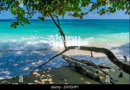 Shades sulla spiaggia, Kalapathar Beach, Havelock Island, Andaman, India Foto Stock