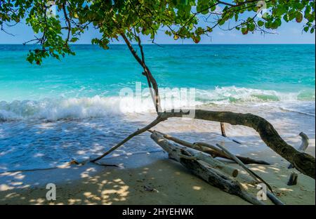 Shades sulla spiaggia, Kalapathar Beach, Havelock Island, Andaman, India Foto Stock