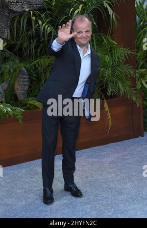 Toby Jones alla prima di Los Angeles del 'Jurassic World: Fallen Kingdom' tenuto alla Walt Disney Concert Hall il 12 giugno 2018 a Los Angeles, CA. Foto Stock