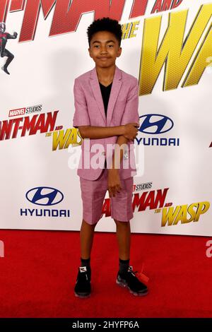 Miles Brown alla prima mondiale di 'ANT-Man and the Wasp' tenutasi al Teatro El Capitan il 25 giugno 2018 a Hollywood, Los Angeles Foto Stock