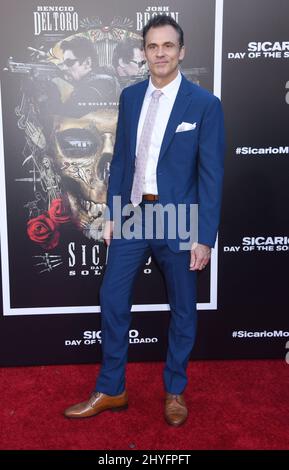 DaN Davidson al 'Salario: Day of the Soldado' Los Angeles Premiere tenuto al Regency Village Theatre il 26 giugno 2018 a Westwood, CA. Foto Stock