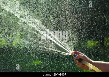 Le mani annaffiano il giardino attraverso alberi, fiori e cespugli. Spruzzi d'acqua attraverso la natura verde primaverile. Giardinaggio. Foto Stock