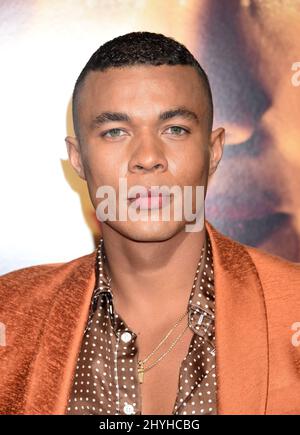 Ismael Cruz Cordova al 'Miss Balaa' World Premiere tenuto al Regal Cinemas L.A. IN DIRETTA il 30 gennaio 2019 a Los Angeles, USA. Foto Stock