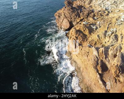 La testa del drago sorge dall'acqua - la roccia o la formazione di lava con la forma di un grande animale. Popolare destinazione di viaggio formazione di roccia vulcanica in Foto Stock