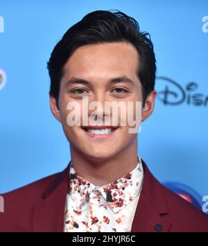 Laine Hardy arriva agli ARDY 2019 presso i Radford Studios il 16 giugno 2019 a Studio City, Los Angeles. Foto Stock