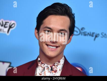 Laine Hardy arriva agli ARDY 2019 presso i Radford Studios il 16 giugno 2019 a Studio City, Los Angeles. Foto Stock