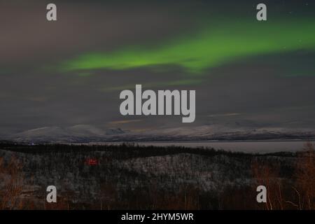 Aurora borealis su montagne innevate e alberi di betulla, Lago Tornetraesk, Parco Nazionale Abisko, Lapponia, Norrbottens laen, Svezia Foto Stock