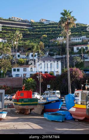 Camara de Lobos, antico villaggio di pescatori, costa meridionale, Madeira, Portogallo Foto Stock