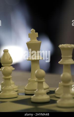 Foto ravvicinata dei pezzi di scacchi su una scacchiera con uno sfondo sfocato. I pezzi qui sono re, regina, pedine, una notte, rook e un vescovo. Foto Stock