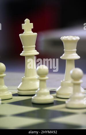 Foto ravvicinata dei pezzi di scacchi su una scacchiera con uno sfondo sfocato. I pezzi qui sono re, regina, pedine, una notte, rook e un vescovo. Foto Stock
