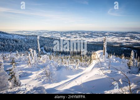 Pista di montagna innevata a Dreisesselberg in inverno, Foresta Bavarese, Germania - Repubblica Ceca Foto Stock