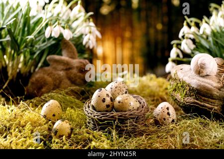 Saluto di Pasqua. Cestino con uova di quaglia e coniglio coniglietto su muschio nella foresta di primavera con bellissimi fiori di prima fioritura bianco di gocce di neve nella foresta selvaggia Foto Stock