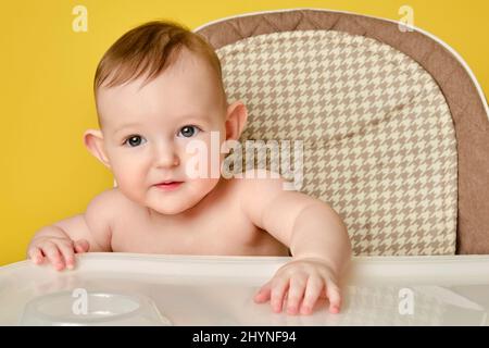 Curioso bambino siede su una sedia alta per l'alimentazione dei bambini, studio sfondo giallo. Bambino ragazzo all'età di sei mesi mangia mentre si siede su un alto chai Foto Stock