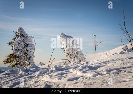 Pendio nevoso di montagna sullo sfondo del cielo azzurro chiaro, Dreisesselberg in inverno Foto Stock