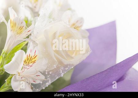 Bouquet di fiori in un primo piano involucro viola. Rose bianche e alstroemeria bianca in un bouquet di lusso. Foto Stock