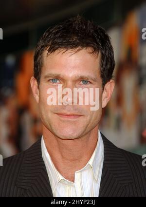 Dylan Walsh partecipa alla prima mondiale "The Lake House" di Hollywood. Foto: UK Stampa Foto Stock