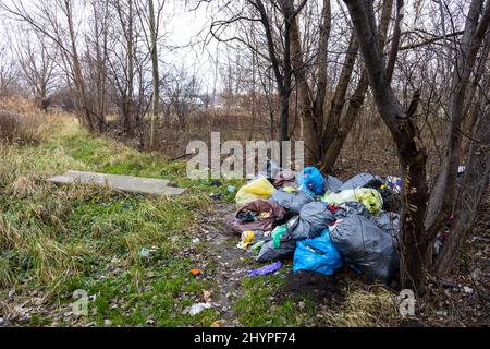 Discarica illegale di rifiuti nella foresta. Rifiuti nella foresta. Foto scattata in giornata nuvolosa, condizioni di luce naturale Foto Stock