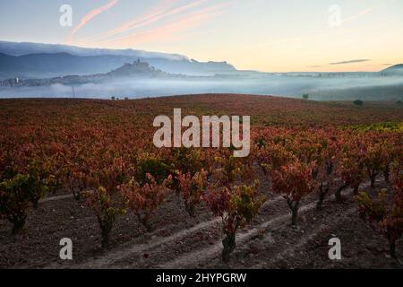 26/10/21 Dawn, San Vicente de la Sonsierra (la Rioja), Spagna. Foto di James Sturcke | sturcke.org Foto Stock